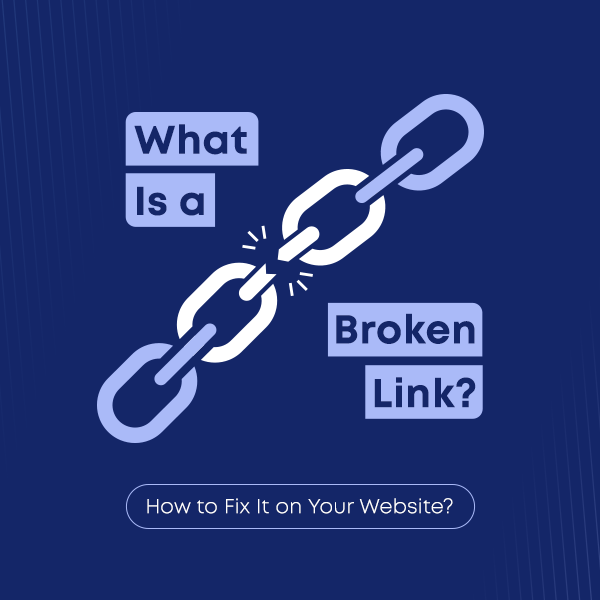What Is a Broken Link? How to Fix It on Your Website?